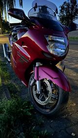 Honda CBR 1100 XX  Blackbird - Angebote