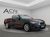 BMW 228 i Cabrio M Sport /H&K Sound/Memory/Kamera/1A - BMW 228