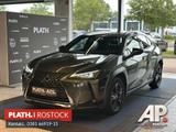 Lexus UX 250 h Executive Line - Lexus UX Gebrauchtwagen