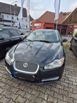 Jaguar XF 3.0 V6 Diesel Luxury Luxury  - Jaguar XF aus 2010: Luxury