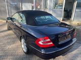 Mercedes-Benz CLK 500 CLK Cabrio CLK 500 - gebrauchte Mercedes-Benz CLK 500 aus dem Jahr 2004