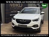 Opel Grandland X 1.5 D Business *LED*AHK*KAMERA*NAVI* - Opel Grandland (X) in Oldenburg