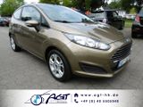 Ford Fiesta 1.25Sync Edition Klima Sitzheiz Allwetter - Ford Fiesta in Hamburg