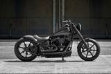 Harley-Davidson FLSL Softail Slim 300 Ricks - Offers