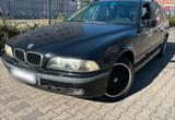 BMW E39 523i Touring - M-Interieur - Leder... - BMW 523 in Hagen