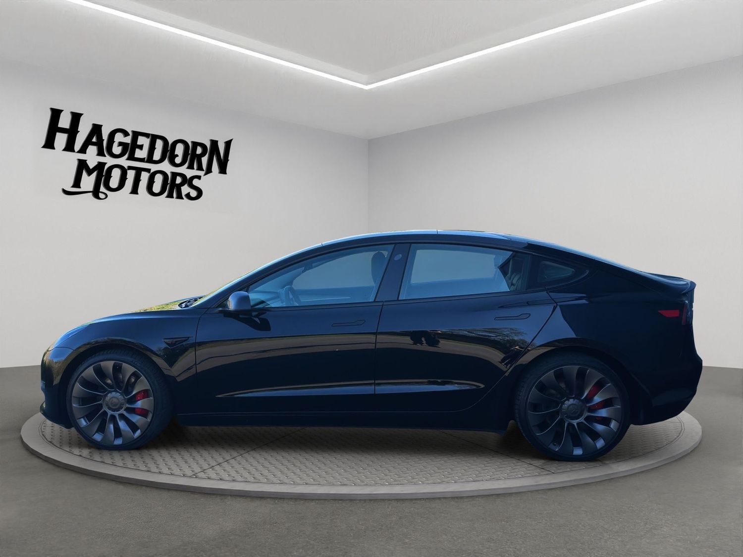 Tesla Model 3 PERFORMANCE DUAL MOTOR PREMIUM SOUND MAT foto 3