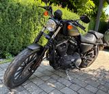 Harley-Davidson Iron 883 Sportster - Originalzustand - Offers matching your search criteria