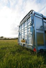 Ifor Williams Vieh-Anhänger TA510+3.5T+Alu+Trennwand - Ifor Williams LKWs