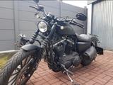 Harley-Davidson XL883N Iron 883 Sporster - Offers