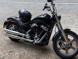 Harley-Davidson Softail Standard - HARLEY-DAVIDSON SOFTAIL STANDARD