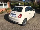 Fiat 500 Elektr.Schiebedach, Vollleder,Winterreifen - Fiat 500: Leder