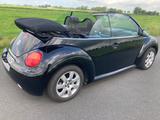 Volkswagen New Beetle 1.6 Cabriolet Standard - Volkswagen New Beetle: Standard
