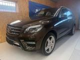 Mercedes-Benz ML 350 BlueEfficiency Edition 1*PANO*KAMERA*LUFT - Mercedes-Benz ML 350 mit Benzin-Antrieb