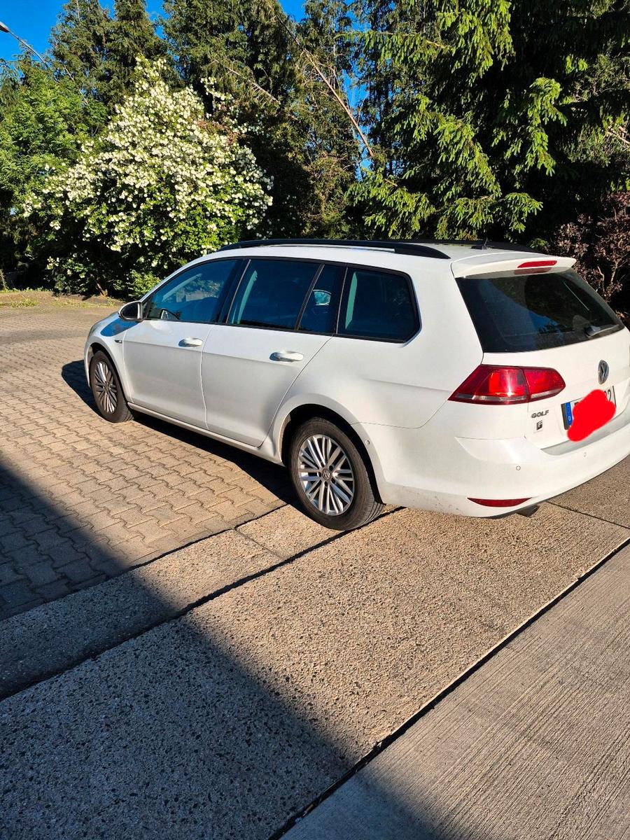 Volkswagen Golf 2015 — photo 9