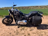 Harley-Davidson Sport Glide FLSB - Motorräder in Chemnitz