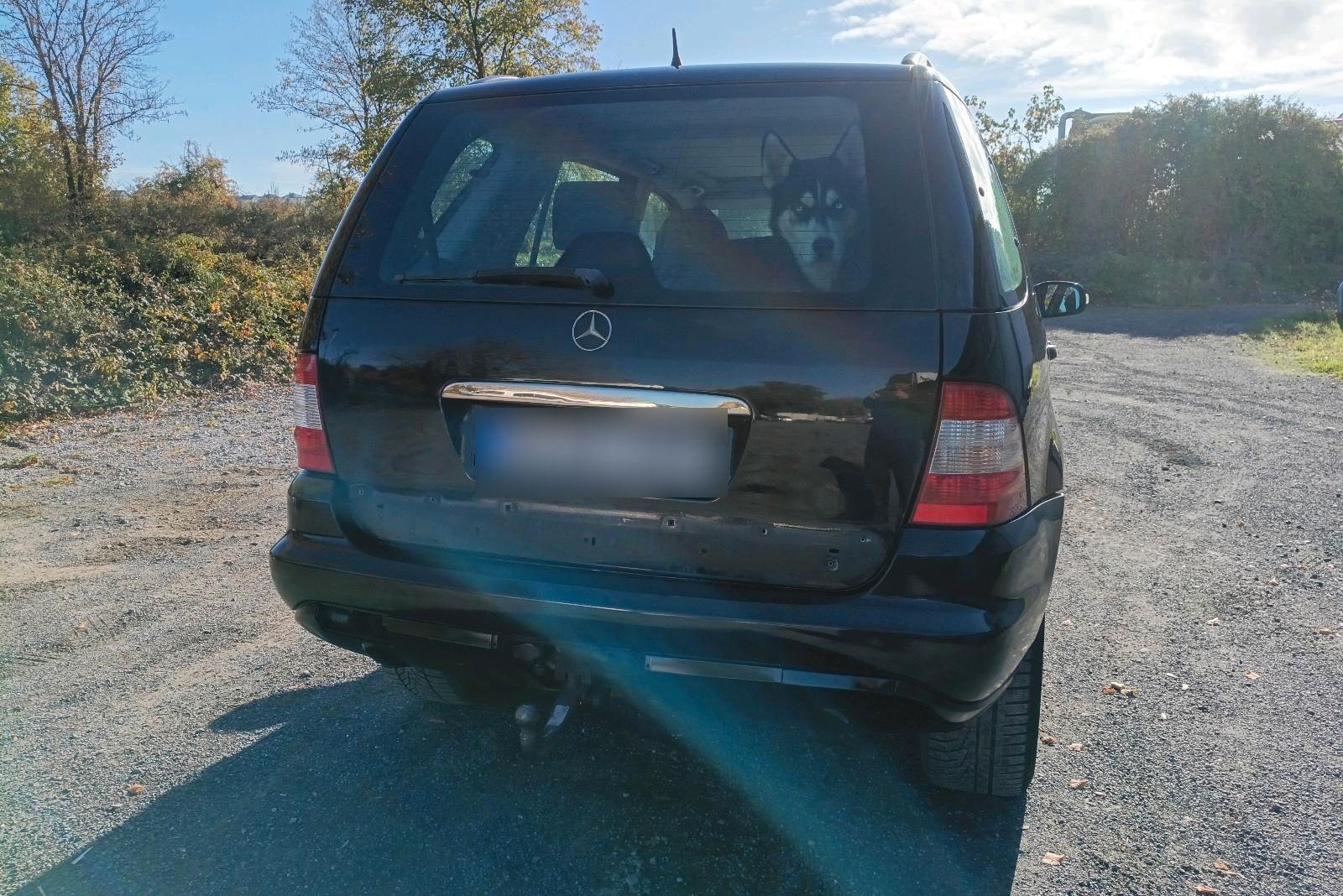 Mercedes-Benz ML270 2004 — engine 163 HP (120kW)
