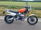 Triumph Scrambler 1200 XE incl. 2818,-€ Zubehör - TRIUMPH ENDURO SCRAMBLER