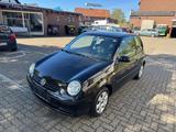 Volkswagen Lupo Cambridge 129.000-KM Klima Sitzheizung TOP! - VW Lupo Gebrauchtwagen