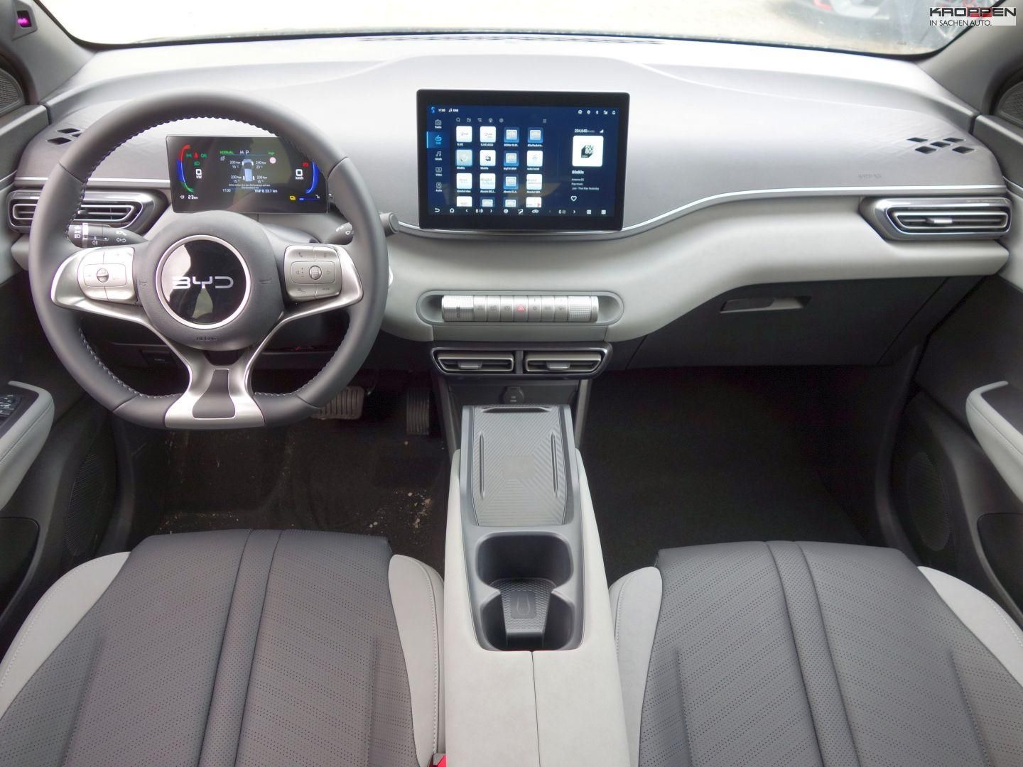 BYD DOLPHIN SURF