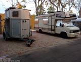 Fiat Ducato,Tv,Sat,Wlan,Solar,Stklima,Spül/Waschmasch - Fiat Sa