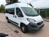 Fiat Ducato Diesel 9-Sitzer  - TÜV 03/2028... - Fiat Ducato Gebrauchtwagen in Bremen
