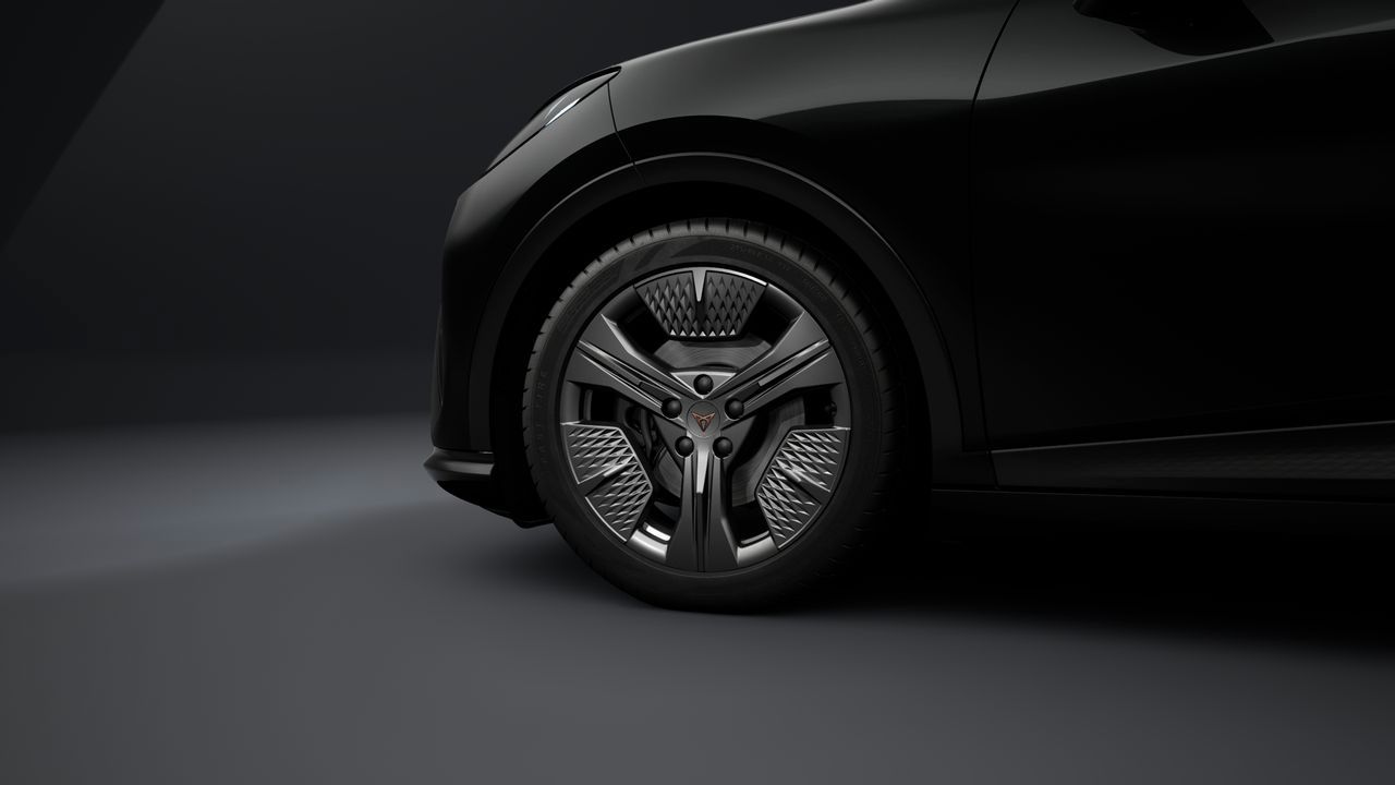 Cupra Andere - Bild 6