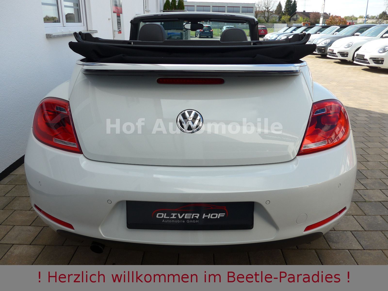 Volkswagen Beetle 1.2TSI 50"s Design Xenon Kamera Leder foto 21