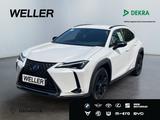 Lexus UX 250h Style+ Edition *LED*ACC*CAM*SHZ*CarPlay*