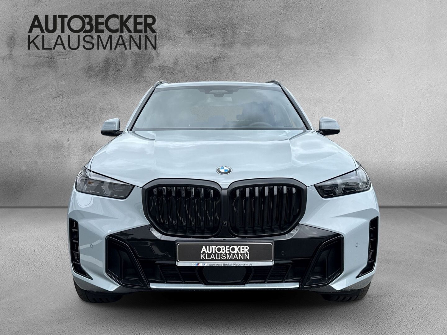 BMW X5 - Bild 5
