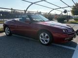 Alfa Romeo GTV Spider 2.0i 16V Twin Spark cat L - rote Alfa Romeo GTV