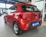 Kia Picanto 1.0 Edition 7 SHZG Lenkradhzg. Klima - Kia Picanto: Orange