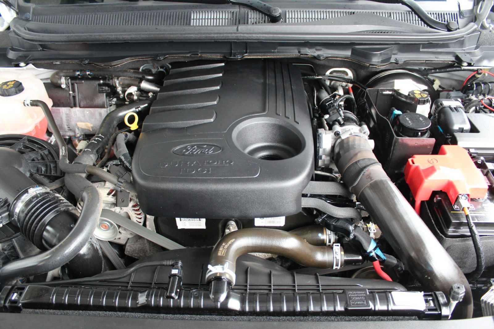 Ford Ranger 3.2 TDCi Limited Extrakabine Standheizung foto 23