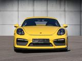 Porsche 981 Cayman GT4 - Porsche Cayman aus 2015