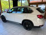 BMW X5 xDrive 40 d |LED|PANO|R-CAM|AHK|LEDER|MEMORY| - BMW X5: Weiß, Navigationssystem