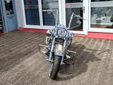 Harley-Davidson Road King~Auspuff~21 Zoll~Chicano~Sonderlack - ROAD KING