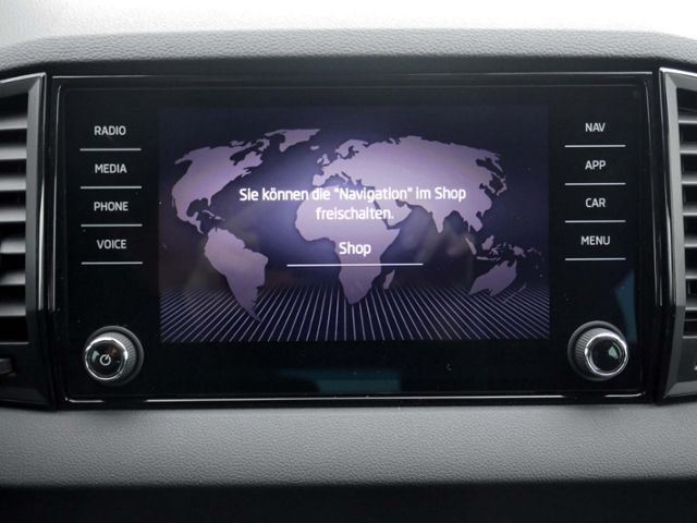 Fahrzeugabbildung SKODA Karoq Elegance 1.5 TSI DSG | LED RFK DAB+