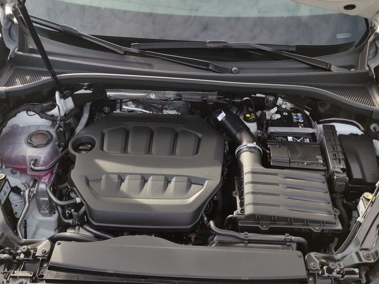 Cupra Terramar - Bild 19