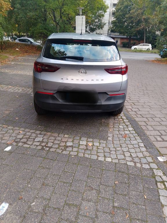 Image of Opel Other