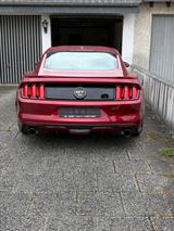Ford Mustang 5.0 GT V8 50 Years - Ford Mustang Gebrauchtwagen in Dortmund
