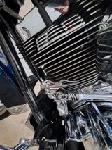 Harley-Davidson street gilde - HARLEY-DAVIDSON 2012