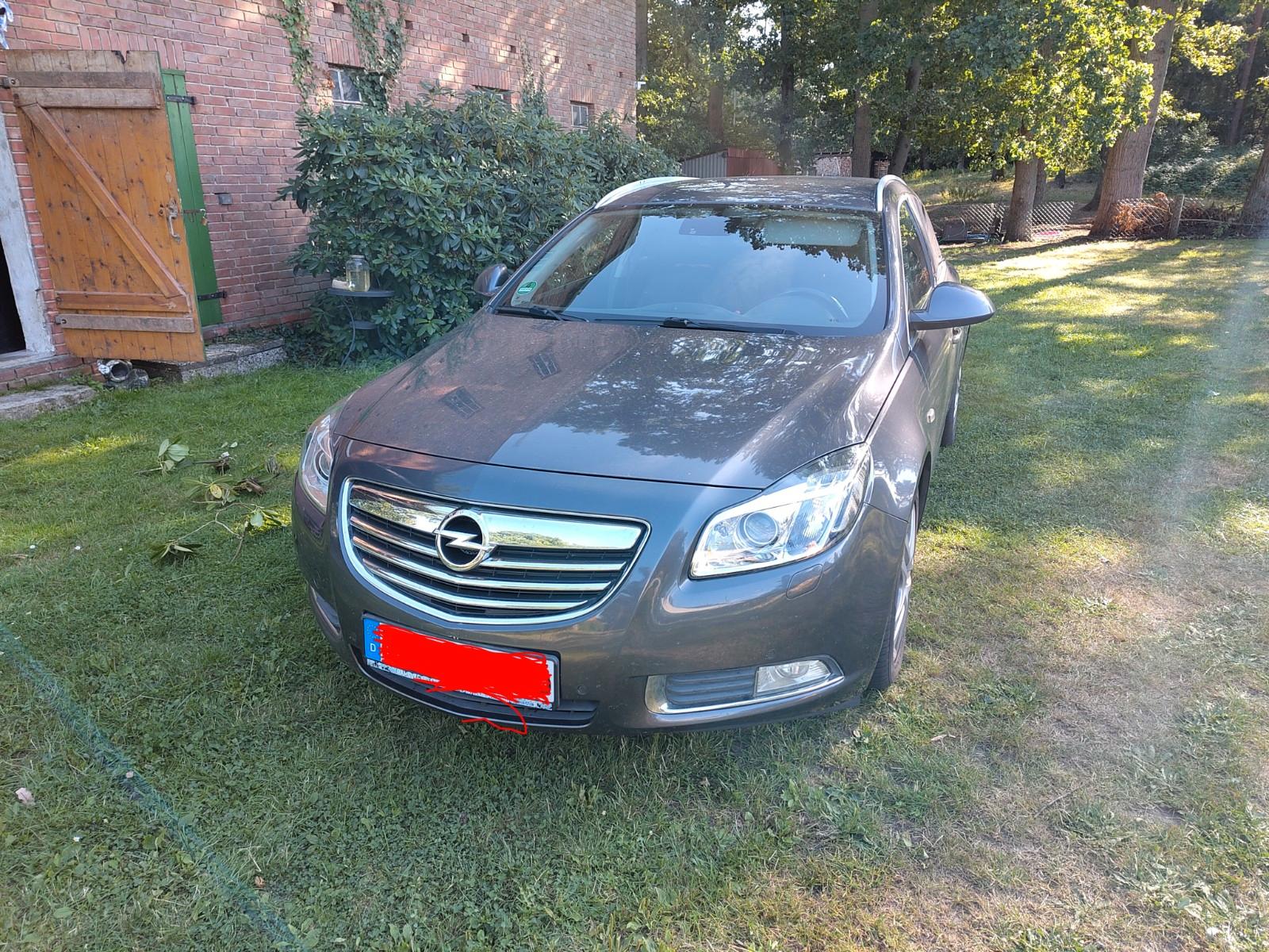 Opel Insignia 2010 — двигун 1.956 cm³, 160 HP (118kW)