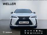 Lexus UX 250h Style Edition *Bi-LED*GJR*CAM*SHZ*ACC*PD - Lexus UX in Duisburg