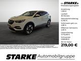 Opel Grandland X 1.2 Turbo Innovation LED Kamera Sitz - Opel Gebrauchtwagen in Osnabrück