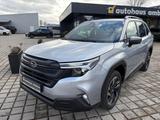 Subaru Forester 2.0ie MY26 Active *HAUSMESSE* - Subaru Forester mit Benzin-Antrieb