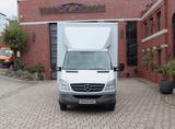 Mercedes-Benz Sprinter 516 Möbelkoffer LBW 750 KG - Pkw-Anhänger 750 kg