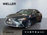 Lexus ES 300 h Business Line *Pano*LED*CarPlay*el Sitz - Lexus ES 300 New cars