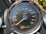 Harley-Davidson Dyna Street Bob Thunderbike Umbau TÜV & Insp neu - Offers