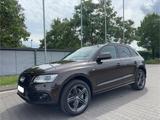 Audi Q5 3.0 TDI  quattro  Bi-Xenon Pano Temp Sitzbel. - Audi Q5 in Wiesbaden