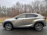 Lexus NX 300H F Sport - Lexus NX 300 von privat