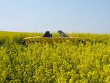 Porsche 914 2.0, 2.Hand, original, unrestauriert, top